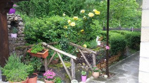 IMG-20160530-WA0004